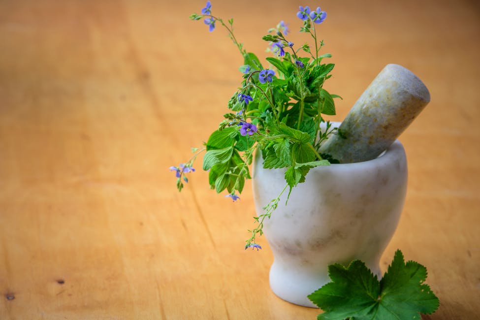 Was ist eine Propolis-Lösung und wofür ist Propolis gut Der Medizintipp