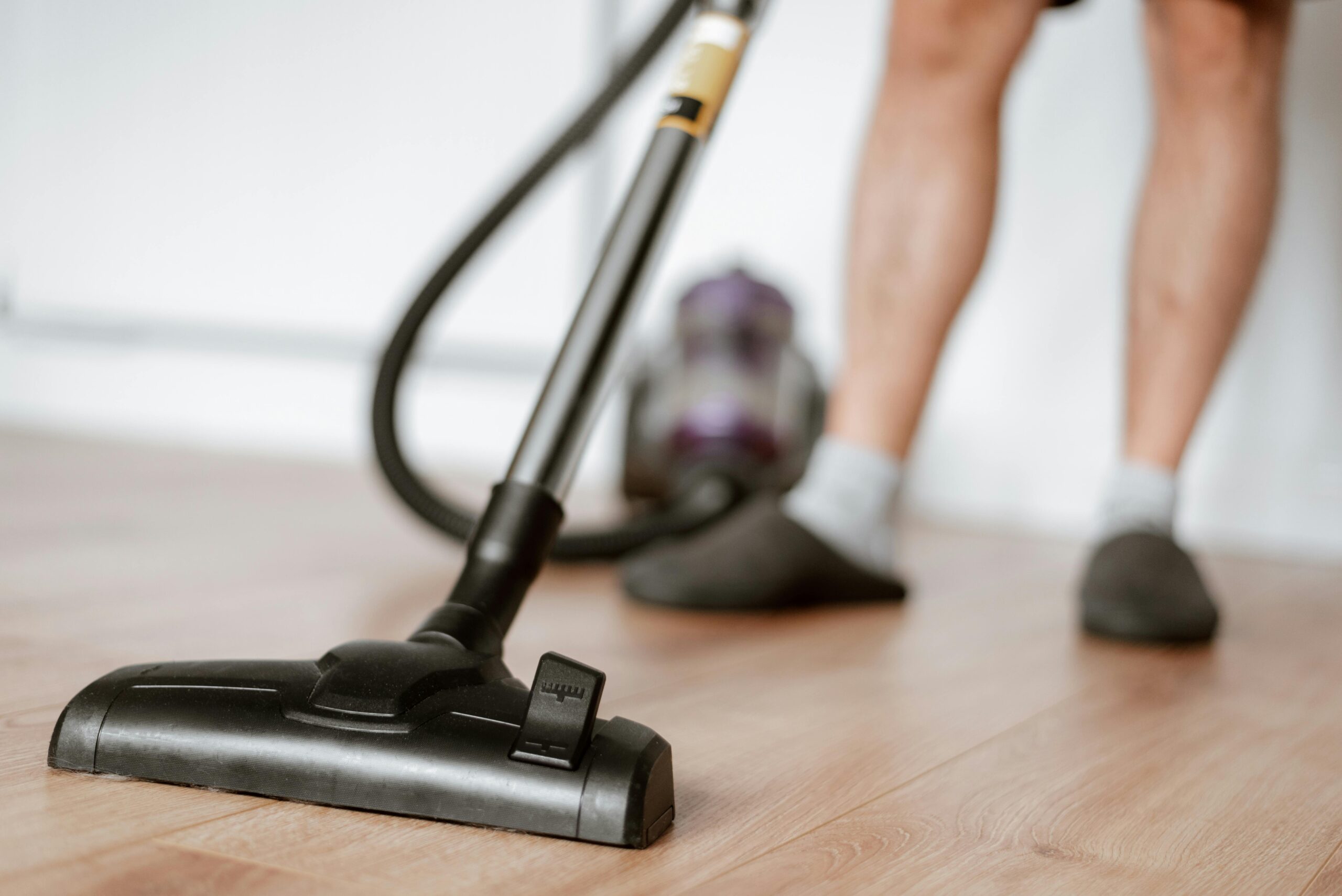 Woher kommen Wollmäuse? Lösung, Erklärung und Vorbeugung