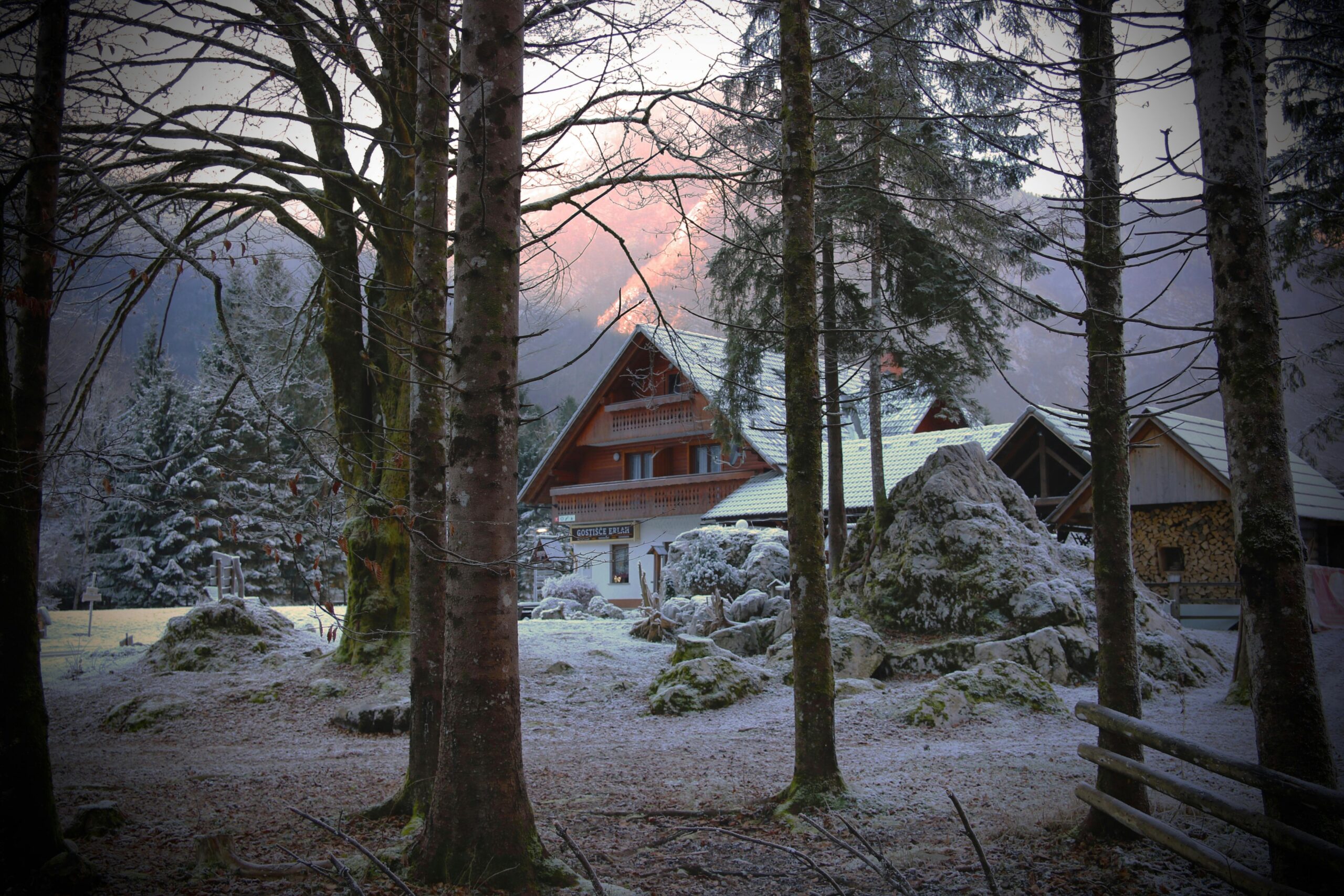 Wie schütze ich meinen Garten vor Frostschäden im Winter?