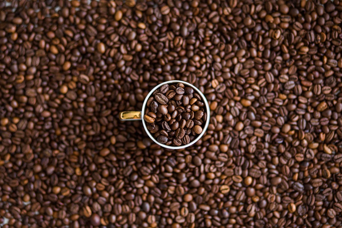 Wie optimiere ich den Luftstrom meiner Aeroccino 4 Milchaufschäumer von Nespresso