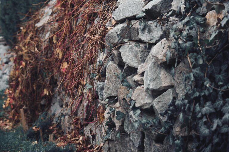 Wie kann ich eine Trockenmauer im Garten bauen?