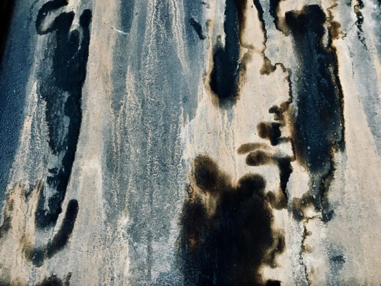 Welche Hausmittel helfen gegen Schimmel im Keller?