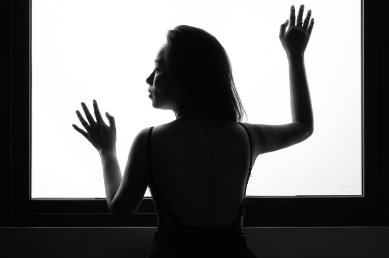 Warum zeigt mein Kärcher WV 5 Fensterreiniger keine Ladeanzeige?