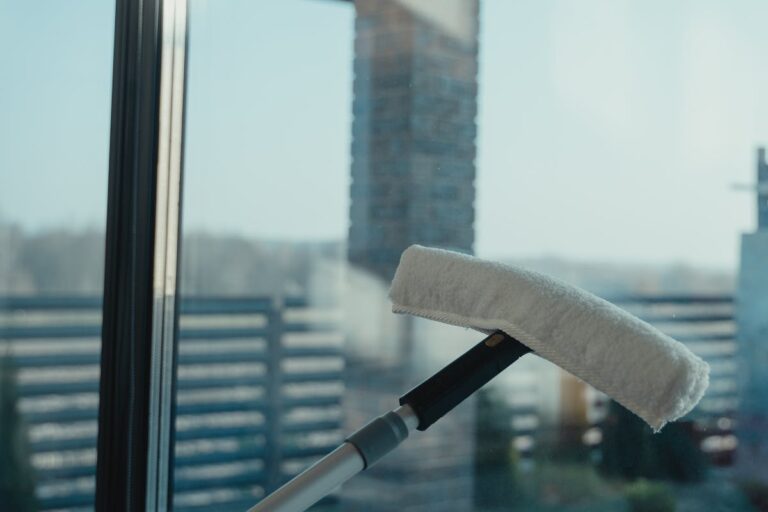 Sichler Fensterputzroboter zeigt E1 – Vakuumverlust